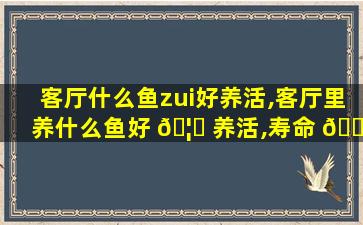 客厅什么鱼zui
好养活,客厅里养什么鱼好 🦆 养活,寿命 🐠 长